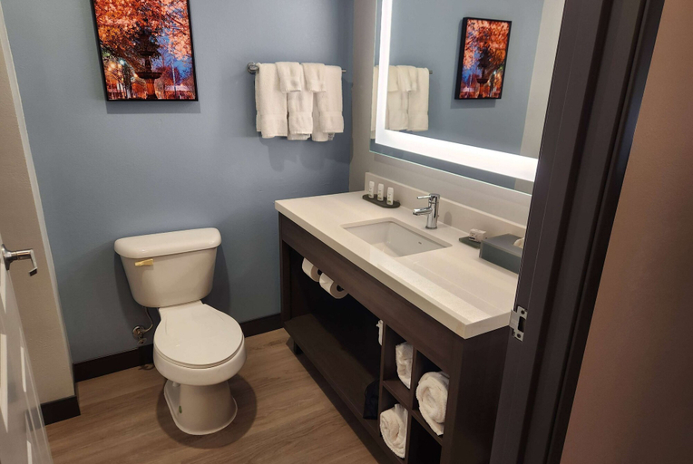 Bathroom 4, La Quinta Inn & Suites by Wyndham Warner Robins - Robins AFB, Houston