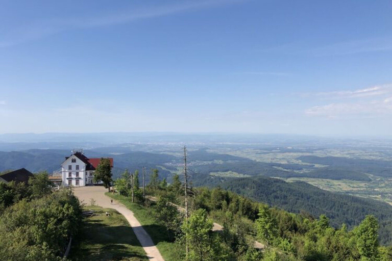 Others 5, Apartment at the Edge of the Forest, Breisgau-Hochschwarzwald