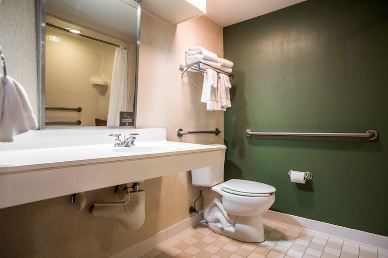 Bathroom 4, Hotel Garner Hotel Sumter Northwest by IHG, Sumter