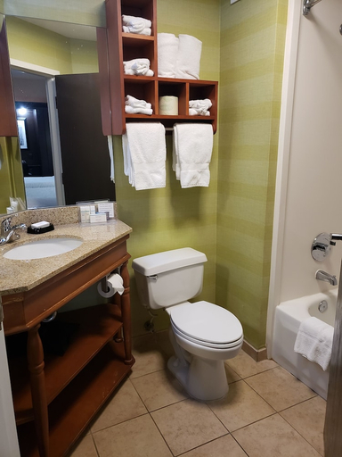 Bathroom 4, Spark by Hilton Tampa Brandon, Hillsborough