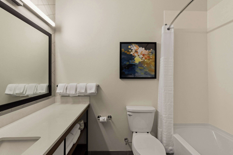 Bathroom 4, Everhome Suites Temecula Wine Country, Riverside
