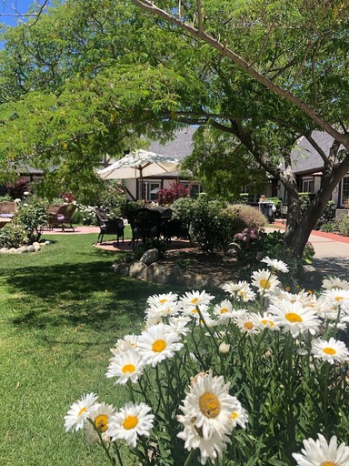 Others 4, Solvang Gardens Lodge An Ascend Hotel Collection, Santa Barbara