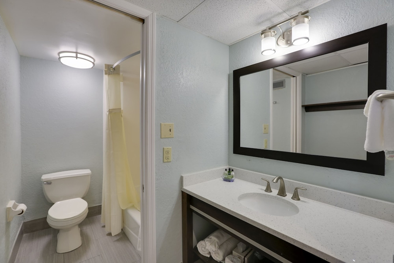 Bathroom 4, Dolphin Beach Resort, Pinellas