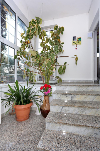 Others 4, Villa Dalmatia, Zadar