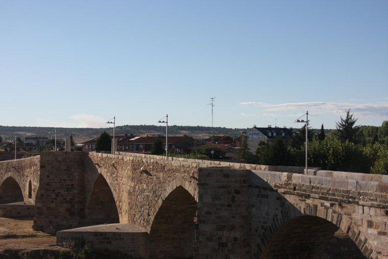 Others 5, Albergue La Encina, León