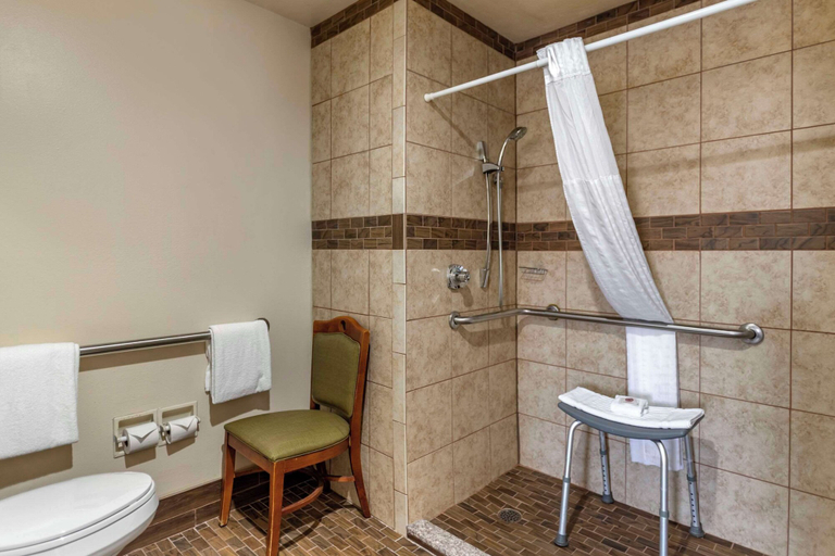 Bathroom 4, Comfort Inn Tulsa Midtown, Tulsa