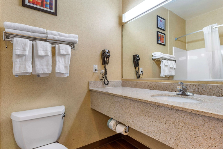 Bathroom 4, Comfort Inn & Suites, Socorro