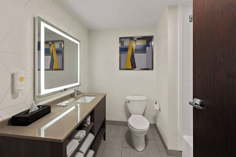 Bathroom 4, Comfort Suites Columbus East Broad, Franklin