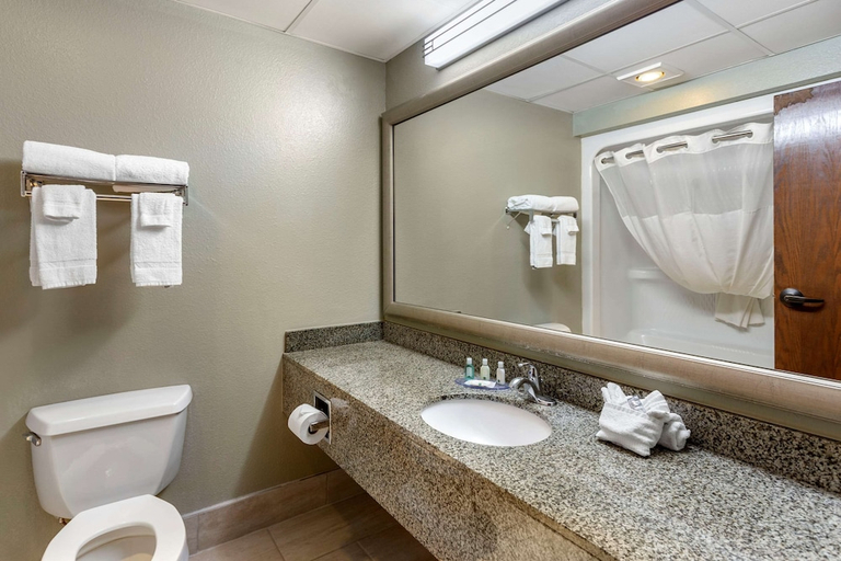 Bathroom 4, Quality Inn St. Robert - Ft. Leonard Wood, Pulaski