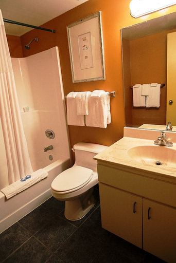 Bathroom 5, Hollander Boutique Hotel, Pinellas
