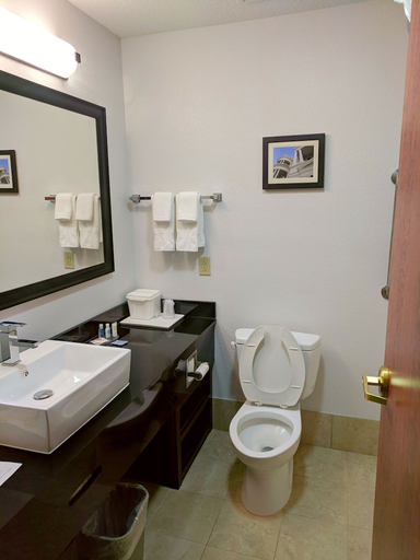 Bathroom 4, Comfort Inn & Suites Statesboro - University Area, Bulloch