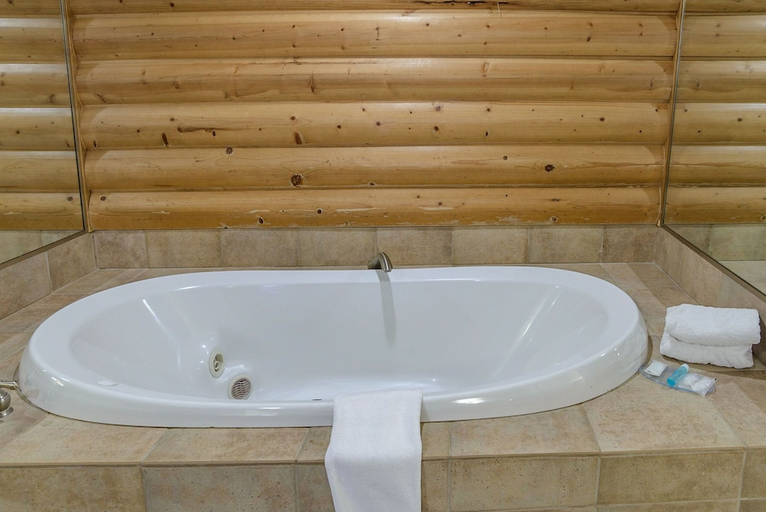 Bathroom 2, Zion Pioneer Lodge, Washington
