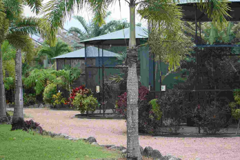 Others 3, Daintree Wild Bed & Breakfast, Douglas