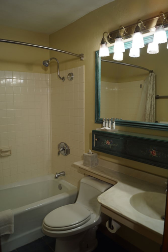 Bathroom 4, The Alpenhof Lodge, Teton