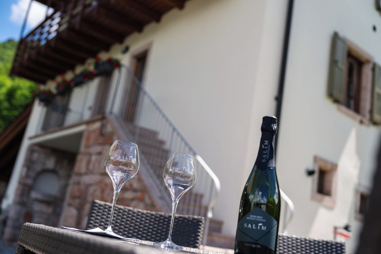 Food & Drinks 5, Maso Salim, Trento