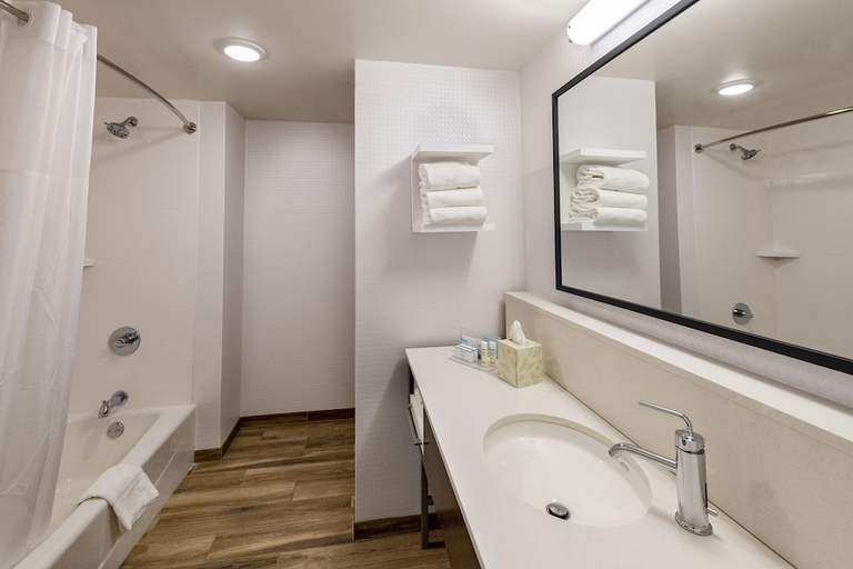Bathroom 4, Hampton Inn & Suites by Hilton Keller Town Center, Tarrant