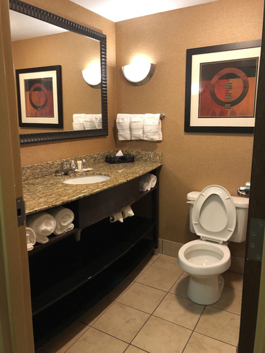 Bathroom 5, Comfort Suites At WestGate Mall, Spartanburg