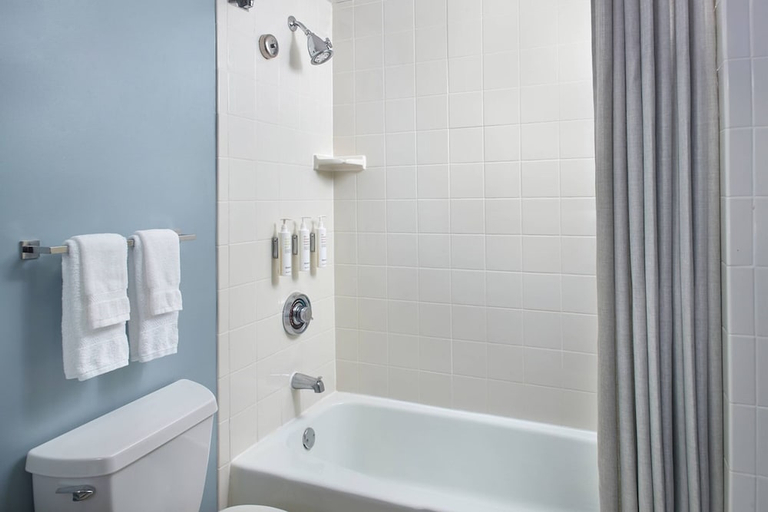 Bathroom 3, Atlanta Evergreen Lakeside Resort, DeKalb