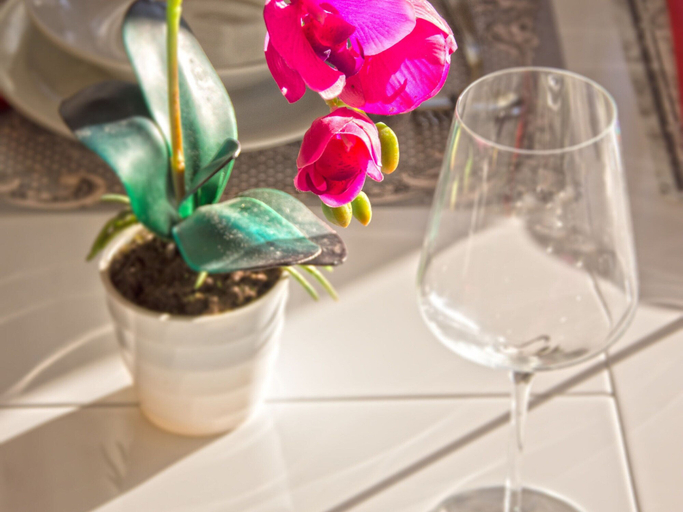 Food & Drinks, Adorable Holiday Home With Private Pool & Terrace With Barbecue, Vinodolska