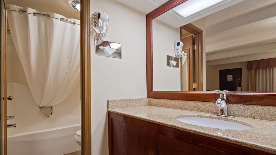 Bathroom 4, Best Western Montis Inn, Pulaski
