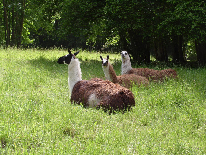 Others 4, Chateau de Canisy, Manche