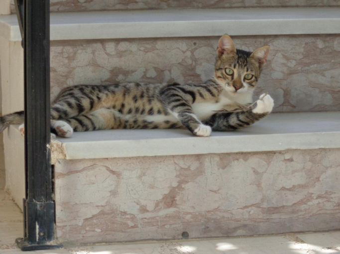 Others 5, Katerina Apartments, North Aegean