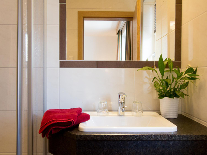 Bathroom 3, Eisbauer, Sankt Johann im Pongau