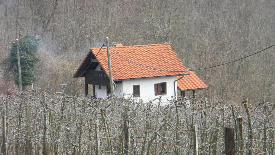 Exterior & Views 5, Hisa V Sadovnjaku, Kobarid