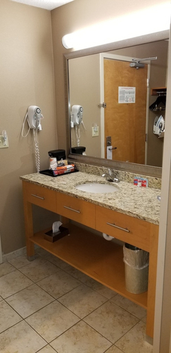 Bathroom, Quality Inn & Suites Warren - Detroit, Macomb