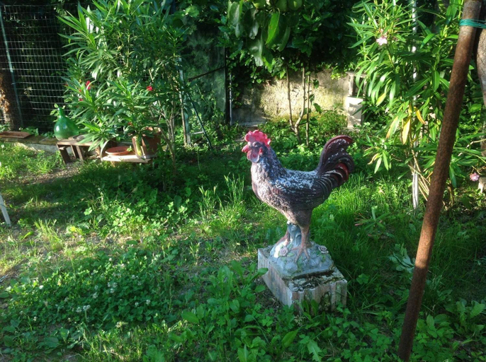 Others 5, Il Giardino del Gallo, Perugia