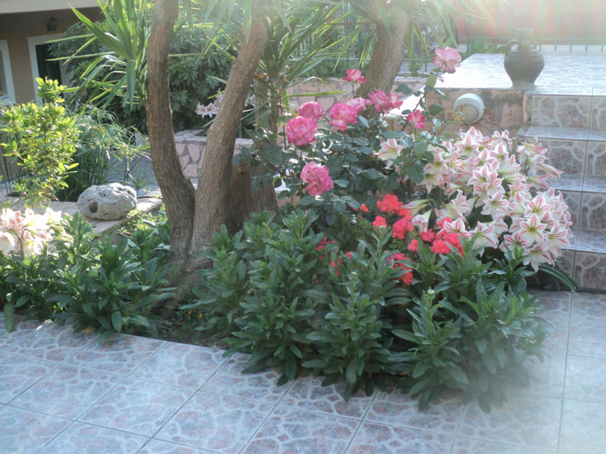 Others 3, Anastasis Apartments, Ionian Islands