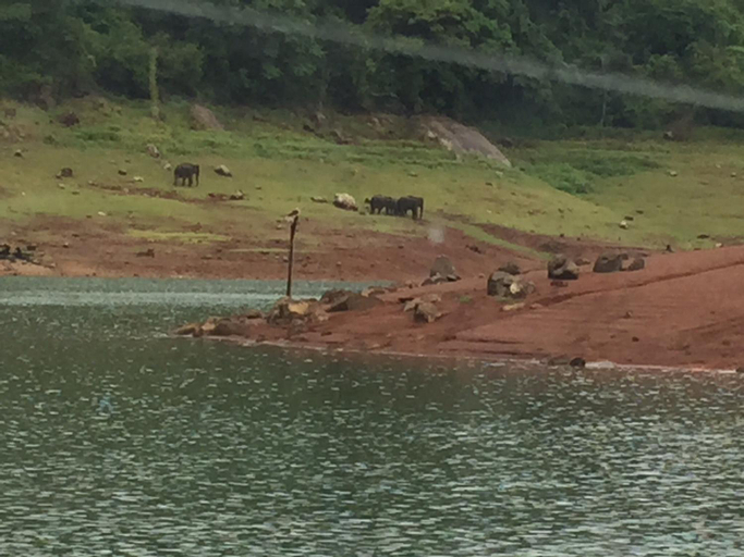 Others 5, Kandamath Heritage Resort, Kollam