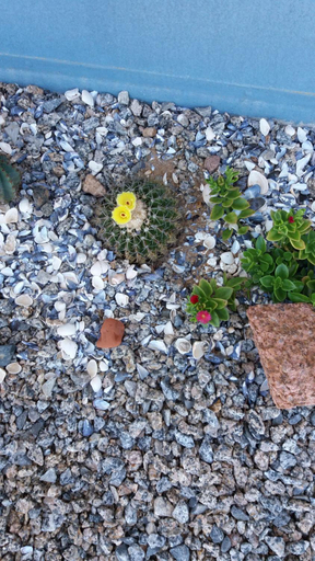 Others 3, Aroma de mar casas en alquiler vacacional con hermosa piscina, n.a339