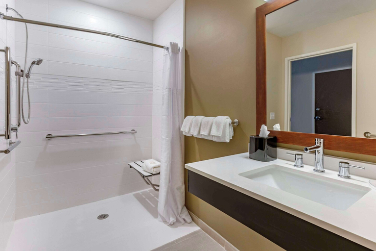 Bathroom 4, Comfort Suites Albuquerque Airport, Bernalillo