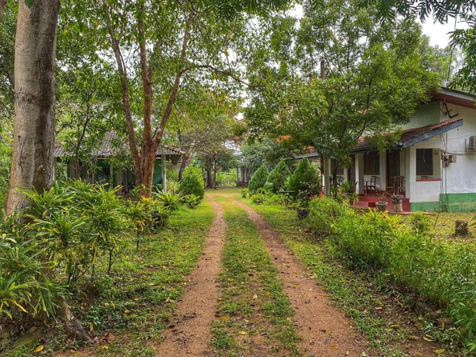 Others 4, Globetrotter Tourist Inn, Dambulla