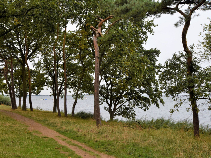 Others 4, Salzhaff Finca in Pepelow, Rostock