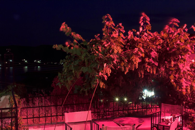 Others 4, Art Hotel Panorama, Central Macedonia