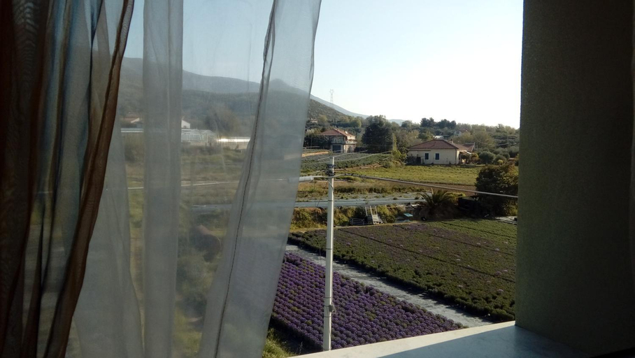 Scenery 16