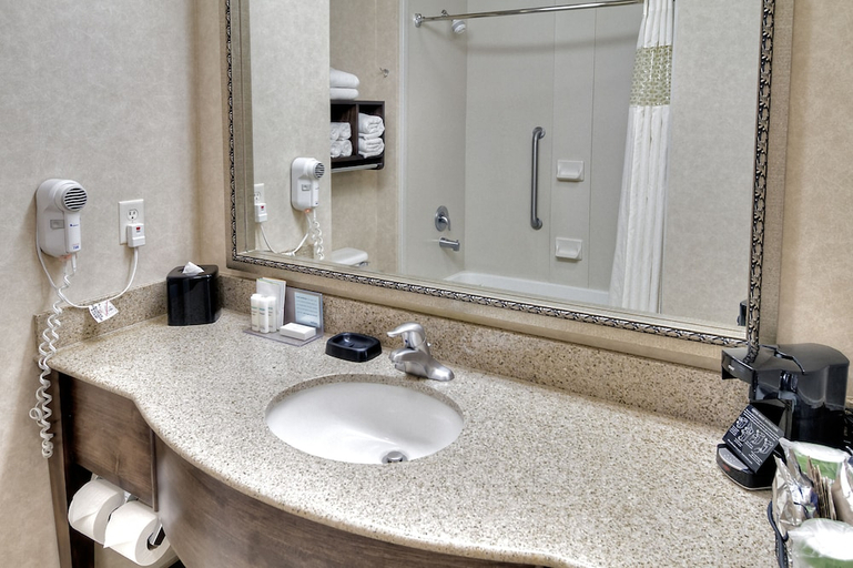 Bathroom 5, Hampton Inn Twin Falls Id, Twin Falls