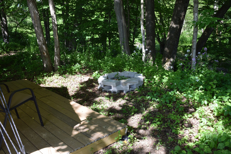 Others 5, Peyper Fields Creekside Camp, Tioga