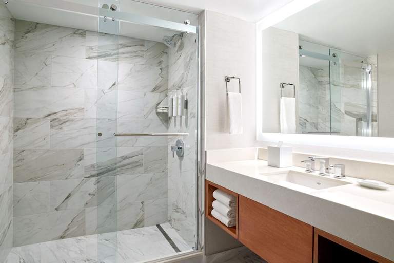 Bathroom 4, Embassy Suites by Hilton Washington DC Convention Center, Washington D.C.