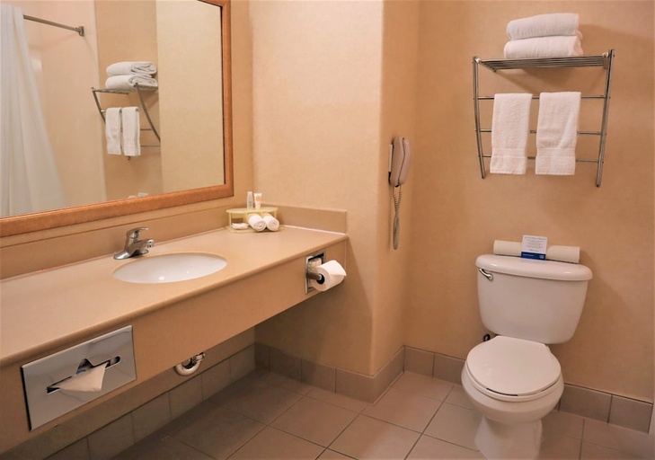 Bathroom 3, Oasis Inn And Suites Joshua Tree 29 Palms, San Bernardino