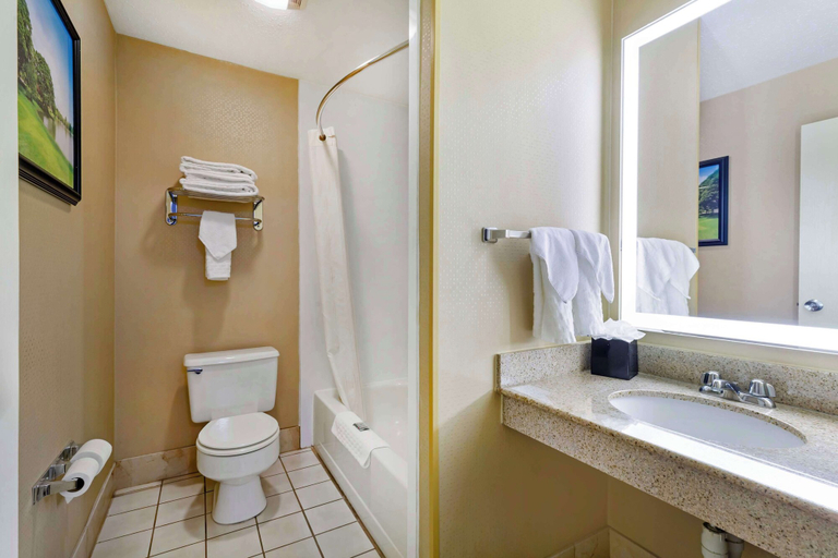 Bathroom 4, Best Western Rockland, Plymouth