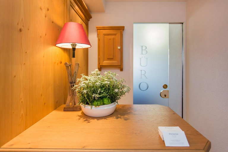 Public Area, Edelweiss Apartments, Bludenz