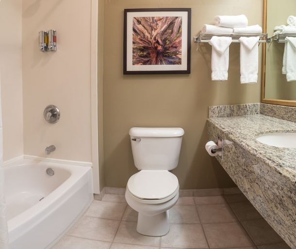 Bathroom 4, Gray Wolf Inn & Suites, Gallatin