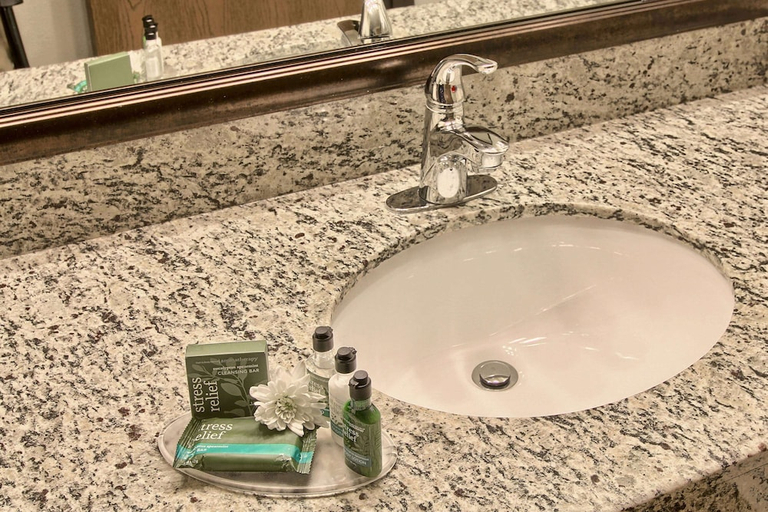 Bathroom 3, Blossom Hotel & Suites Traverse City, Grand Traverse