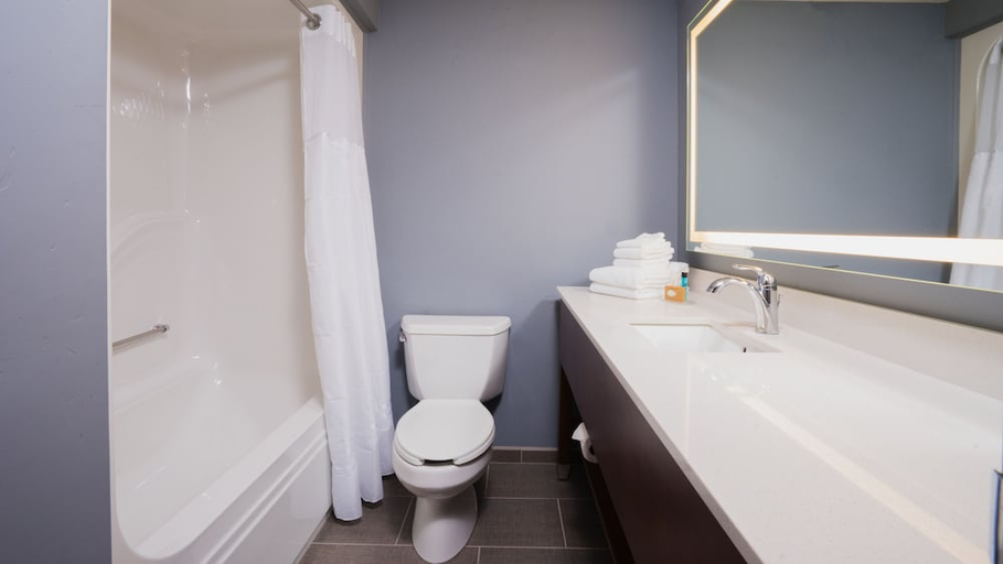 Bathroom 3, The Pine Lodge on Whitefish River, Flathead