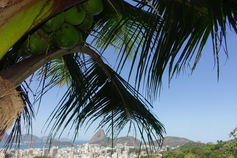 Others 5, Pousada Favelinha, Rio de Janeiro