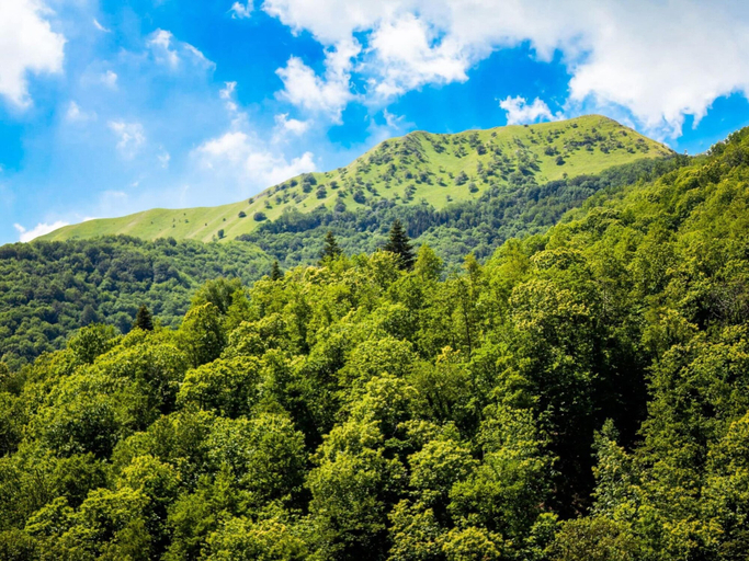 Others 3, Holiday Home in Pascoso Near Forest, Lucca