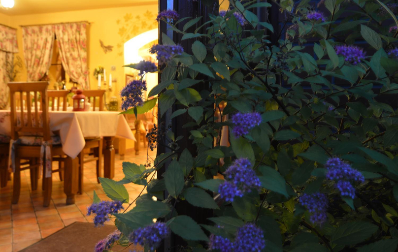 Food & Drinks 5, Hotel Magnes, Jelenia Góra